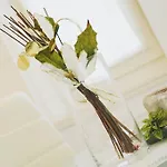Apartment Sweet City דירה זאדאר